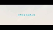 拉布拉多犬和男人交