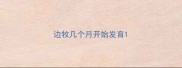 边牧几个月开始发育