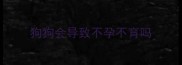 狗狗会导致不孕不育吗