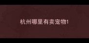杭州哪里有卖宠物