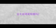 金毛能喝葡萄糖吗