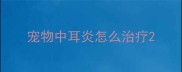 宠物中耳炎怎么治疗