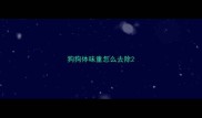 狗狗体味重怎么去除