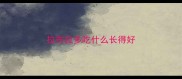 拉布拉多吃什么长得好