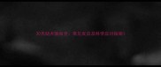 30天幼犬驱虫全常见反应及科学应对指南