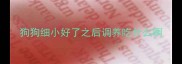 狗狗细小好了之后调养吃什么啊