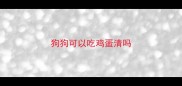 狗狗可以吃鸡蛋清吗