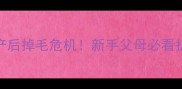 哈士奇产后掉毛危机新手父母必看护理指南
