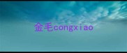 金毛congxiao