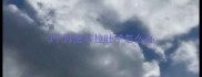 3个月法斗拉肚子怎么办