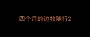 四个月的边牧随行