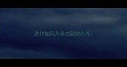 边牧如何从室内到室外养