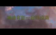 猫绝育能一起打疫苗