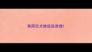 狗用狂犬病疫苗原理