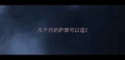 几个月的萨摩可以遛