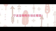 宁波宠物狗市场在哪里