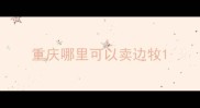 重庆哪里可以卖边牧