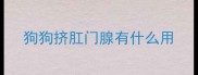 狗狗挤肛门腺有什么用