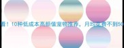新手必看10种低成本高颜值宠物推荐月均花费不到500元