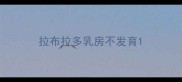拉布拉多乳房不发育