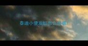 泰迪小便发红怎么回事
