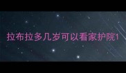 拉布拉多几岁可以看家护院
