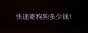 快递寄狗狗多少钱