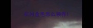 杭州金毛怎么领养