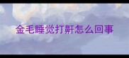 金毛睡觉打鼾怎么回事
