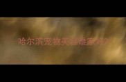 哈尔滨宠物美容谁家好