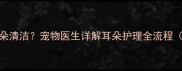 如何让小狗配合耳朵清洁宠物医生详解耳朵护理全流程附实用工具推荐