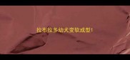 拉布拉多幼犬变软成型