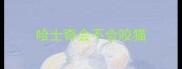 哈士奇会不会咬猫