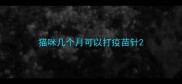 猫咪几个月可以打疫苗针