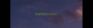 泰迪狗有什么特点