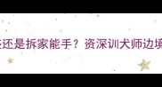 哈士奇性格高冷精力旺盛还是拆家能手资深训犬师边境牧羊犬近亲的三大行为密码