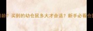 如何判断仓鼠月龄买到的幼仓鼠多大才合适新手必看仓鼠年龄识别指南