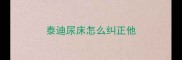泰迪尿床怎么纠正他