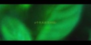6个月大的雪纳瑞
