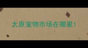 太原宠物市场在哪里