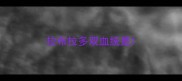 拉布拉多双血统是