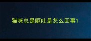 猫咪总是呕吐是怎么回事