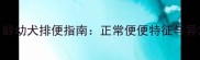 哈士奇2月龄幼犬排便指南正常便便特征与异常信号全