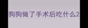 狗狗做了手术后吃什么