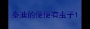 泰迪的便便有虫子