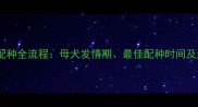 金毛犬配种全流程母犬发情期最佳配种时间及注意事项