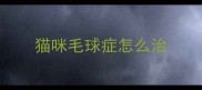 猫咪毛球症怎么治