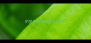 明星宠物医院营业时间