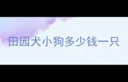 田园犬小狗多少钱一只