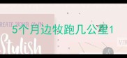 5个月边牧跑几公里